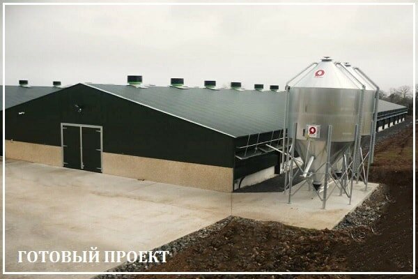 Этапы возведения птицефабрики от завода ВелесТент-клг